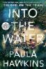 Go to record Into the water : [a novel]
