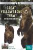 Go to record Great Yellowstone thaw : how nature survives