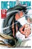 Go to record One-Punch Man. 12