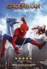 Go to record Spider-Man : homecoming
