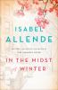 Go to record In the midst of winter : a novel