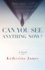 Go to record Can you see anything now? : a novel