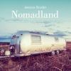 Go to record Nomadland : surviving America in the twenty-first century