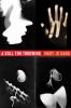 Go to record A doll for throwing : poems