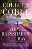 Go to record The view from Rainshadow Bay : [a Lavender Tides novel]