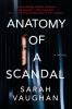 Go to record Anatomy of a scandal : a novel