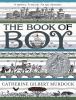Go to record The book of Boy