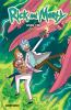 Go to record Rick and Morty. Book two