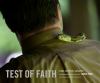 Go to record Test of faith : signs, serpents, salvation