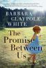 Go to record The promise between us