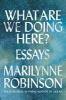 Go to record What are we doing here? : essays