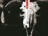 Go to record The Black Monday murders. Volume 1, All hail, God Mammon
