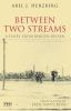 Go to record Between two streams : a diary from Bergen-Belsen