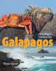 Go to record Galapagos : a traveler's introduction