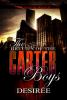 Go to record The return of the Carter boys : the Carter boys 2
