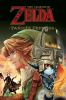 Go to record The legend of Zelda. [14] Twilight princess 3