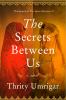 Go to record The secrets between us : a novel