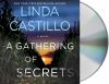 Go to record A gathering of secrets : a novel
