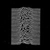 Go to record Unknown pleasures