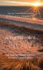 Go to record Enlightenment now : the case for reason, science, humanism...