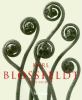 Go to record Karl Blossfeldt : photographs, 1865-1932.