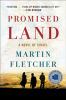 Go to record Promised land : a novel of Israel