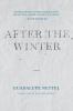 Go to record After the winter : a novel