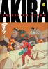 Go to record Akira. Book six