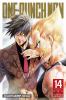 Go to record One-punch man. Volume 14