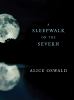 Go to record A sleepwalk on the Severn