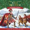 Go to record Warriors in winter