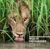 Go to record Wildlife photographer of the year. portfolio 28.