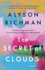Go to record The secret of clouds : a novel