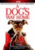Go to record A dog's way home