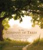 Go to record In the company of trees : honoring our connection to the s...