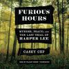 Go to record Furious hours : murder, fraud, and the last trial of Harpe...