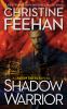 Go to record Shadow warrior : a Shadow Riders novel