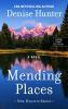 Go to record Mending places