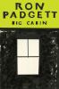 Go to record Big cabin