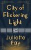 Go to record City of flickering light