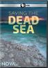 Go to record Saving the Dead Sea