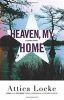 Go to record Heaven, my home : [a Highway 59 novel]