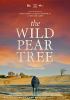 Go to record The wild pear tree = Ahlat ağacı