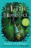 Go to record The little broomstick