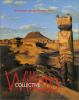 Go to record Collective Willeto : the visionary carvings of a Navajo ar...