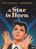 Go to record A star is born