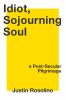 Go to record Idiot, sojourning soul : a post-secular pilgrimage
