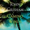 Go to record Camino winds : a novel