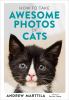 Go to record How to take awesome photos of cats