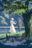 Go to record Murder at Blackwater Bend